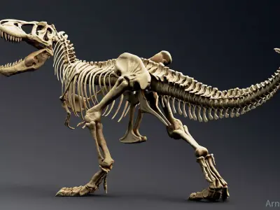 Dinosaur Tyrannosaurus Rex Sue Skeleton -UnrealEngine and Unity  Low-poly 3D model