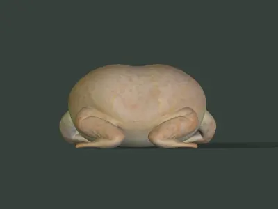 Toad Budgetts frog Free 3D model