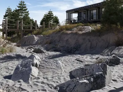  Small Jagged Beach Rock Model 