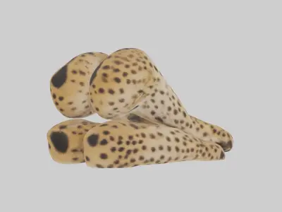 Cheetah Paws 3D model