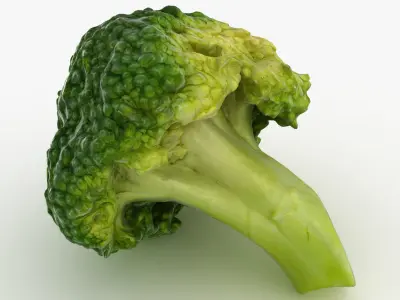 Broccoli Florets 02 3D model