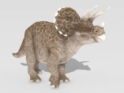 Triceratops Animated Low-poly 3D model