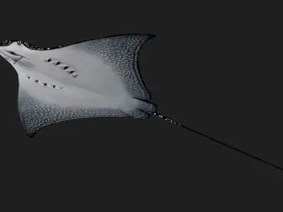 Devilfish Low-poly 3D model