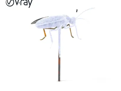 Realistic Insect Model Pack for Game and Film Production Low-poly 3D model