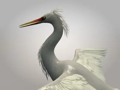 Egretta eulophotes Egret Bird Low-poly 3D model