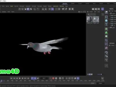 Realistic Animated Rock Pigeon Low-poly 3D model
