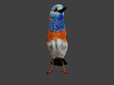 Bird Animal Low-poly 3D model