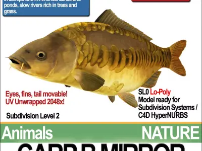 Carp B Mirror 3D model