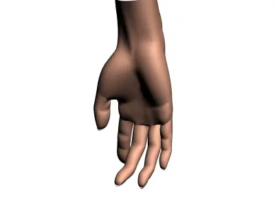 Female hand 001 3D model