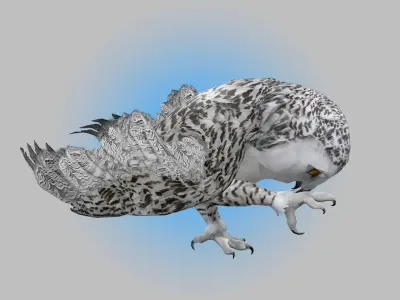 Snowy White Owl Animated Low-poly 3D model