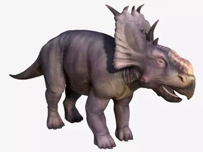 Pachyrhinosaurus triceratops Low-poly 3D model