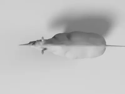 Rhino mouse 3D model