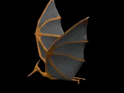 Pterosaur bat flying Low-poly 3D model