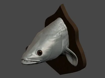 Zander detailed texture trophy taxidermy for 3D printing Free 3D print model