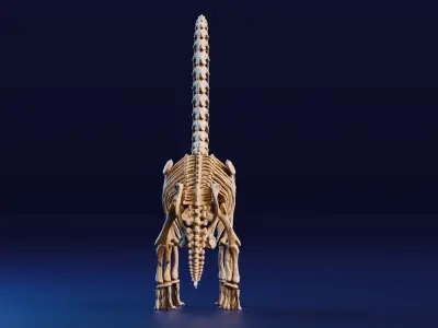 Realistic Ancient Reptilians Fossil - Brachiosaurus Low-poly 3D model