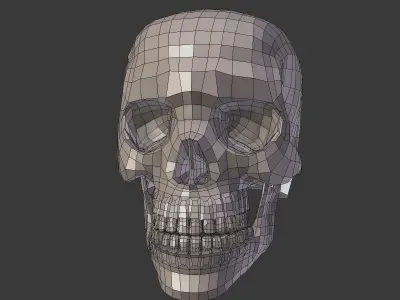 Skull Low-poly 3D model