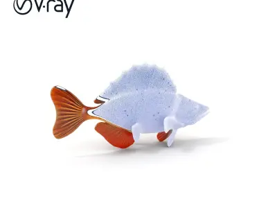 Realistic Perch Fish Model Pack for D Design and Animation Low-poly 3D model