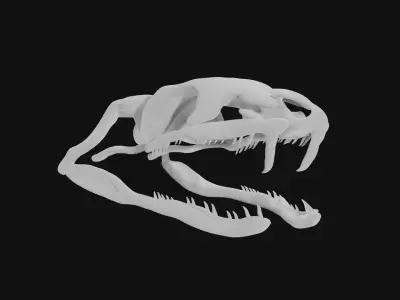 Snake skull 3D model