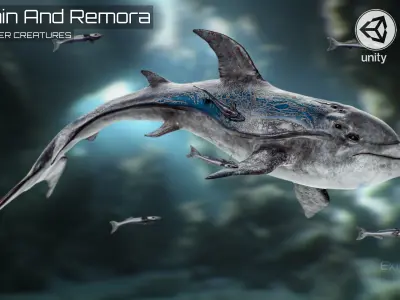 Dolphin and Remora - Realistic Animated Marine Monster - 62 Low-poly 3D model