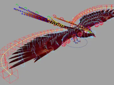 Phoenix 3D model