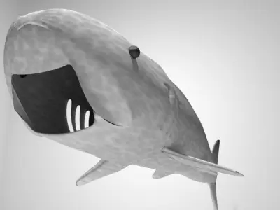 Shark - Whaleshark 3D model