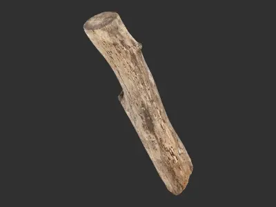 A length of wood 3d scan in highpoly 3D model
