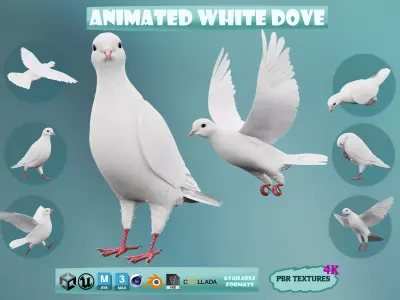 Realistic Animated White Dove Low-poly Low-poly 3D model