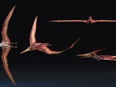 Low poly Realistic Dinosaur - Pteranodon Low-poly 3D model