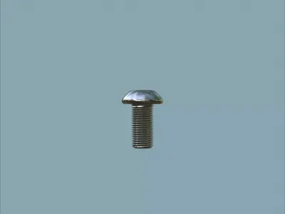 Steel Stained M5 Bolt Allen Dome 3D model