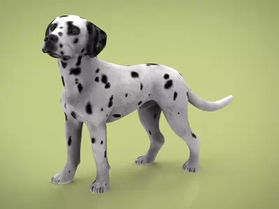 DALMATIAN dog Low-poly 3D model