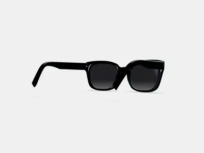 Aubrey Sunglasses in Jet Black 3D model