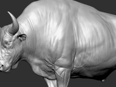 Bizon Bison bison most VFX Zbrush Sculpture Digitale 3D model