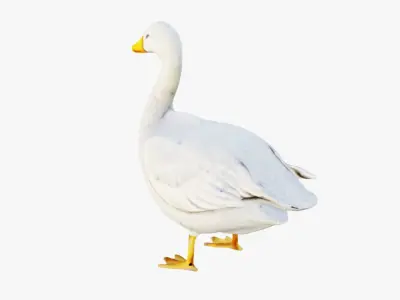 Goose Free 3D model