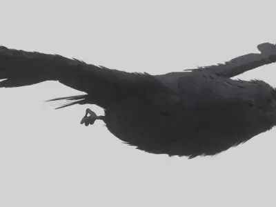 Animated Low Poly Raven Model With PBR Materials Low-poly 3D model