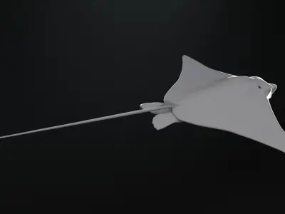 Realistic rigged Spotted Eagle Ray 3D model