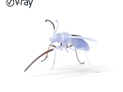 Mechanical Insect Model Pack with Textured Metallic Surface Low-poly 3D model