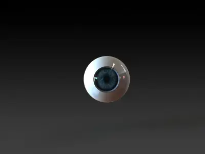 eye silver Free 3D model