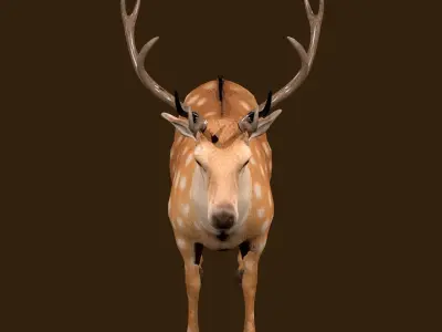 Fawn Deer Rig 3D model