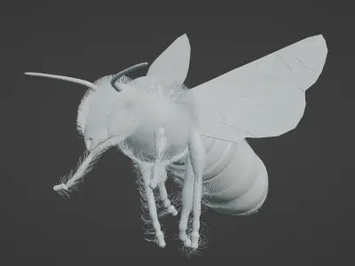Honeybee 3D model