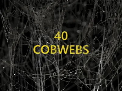 40 High Detailed COBWEBS 3D model