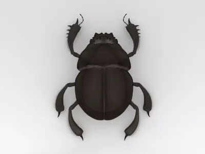 Egyptian Scarab 3D model
