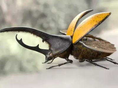 Hercules Beetle Insect Low-poly 3D model
