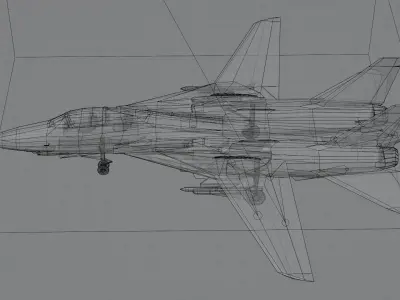 Grumman F-14 Tomcat Low-poly 3D model