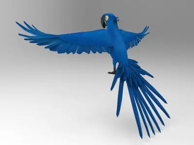 Blue Bird Parrot  Low-poly 3D model