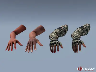AAA Animated FP Arms Pack  Low-poly 3D model