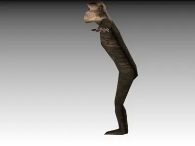 CHIMPANZE monkey 3D model