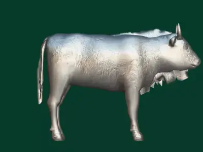 European Bison Calf Free 3D model