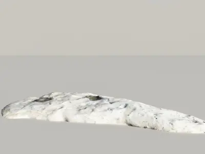 Fossil Whale Bones Scanned 3d Model 3D model