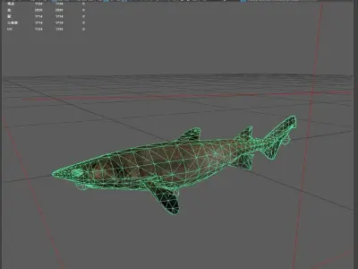 Shark Low-poly 3D model