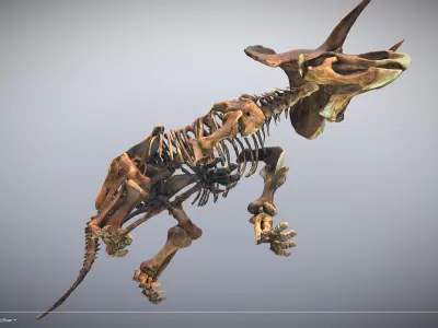 Animated Triceratops Skeleton Low-poly 3D model